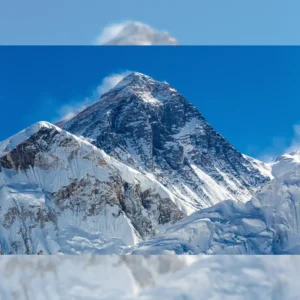 Himalayan Snow Crest